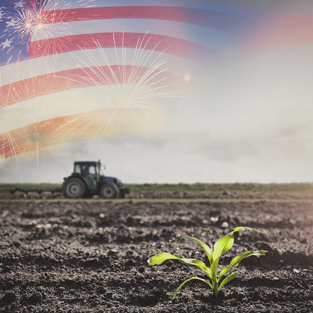 Tractor and a corn plant in a field with the American flag in the sky