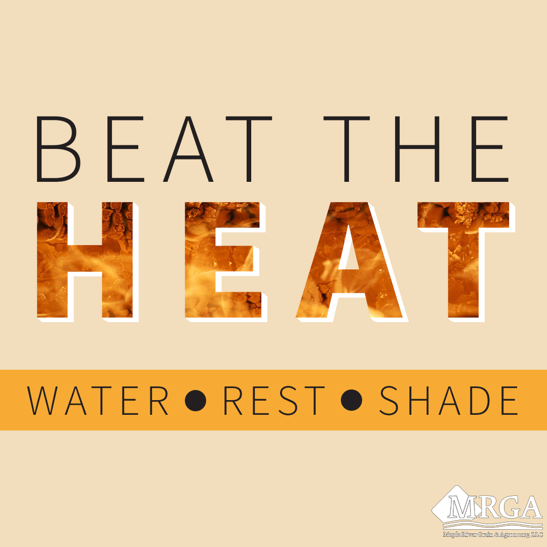 Beat the heat by staying hydrated, resting, and going in the shade.