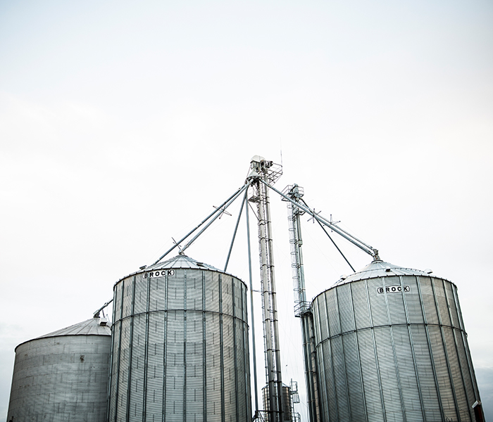 Grain Bin